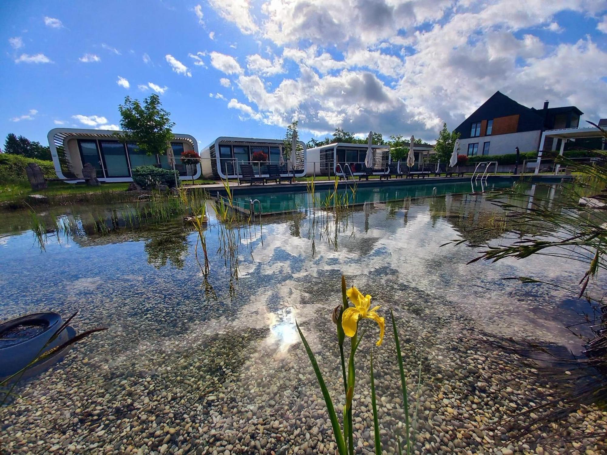 Glamping Maleric With Natural Pool Dragatus Екстер'єр фото
